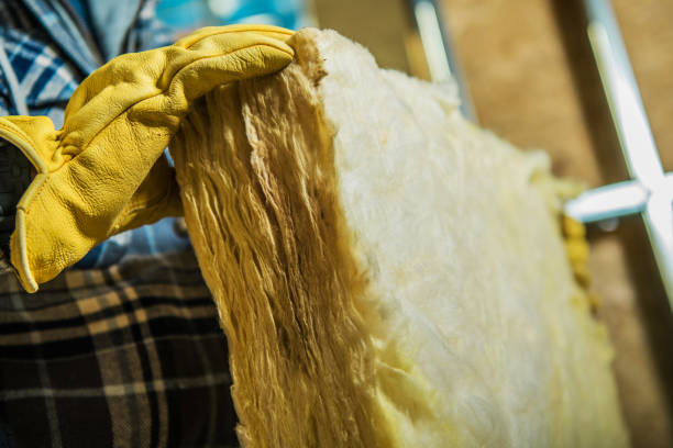 Best Attic Insulation Installation  in Arlington Heights, IL
