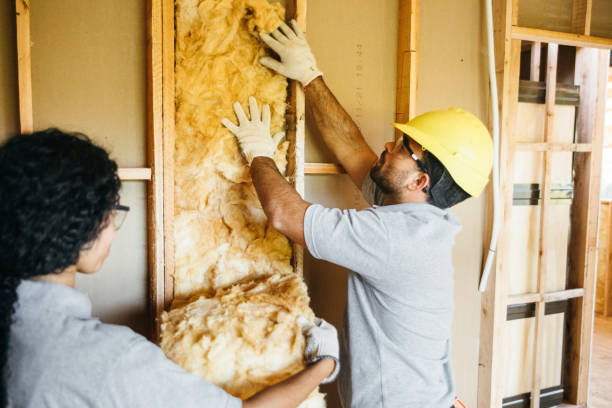 Best Soundproof Insulation Installation  in Arlington Heights, IL